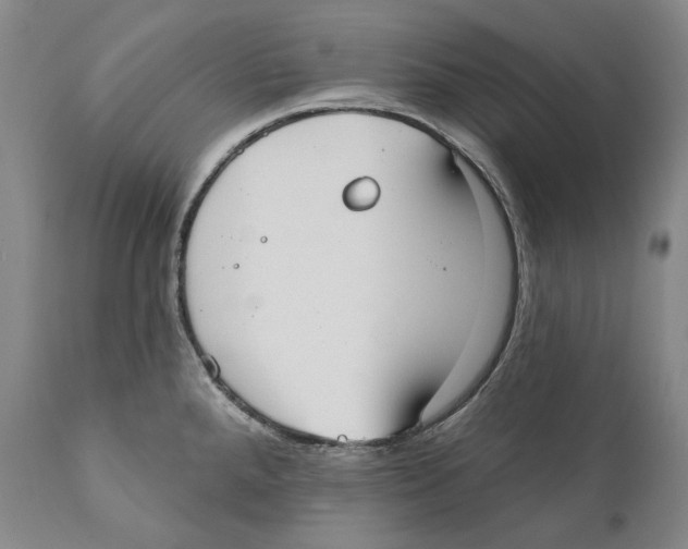 X0000110721288200907101355