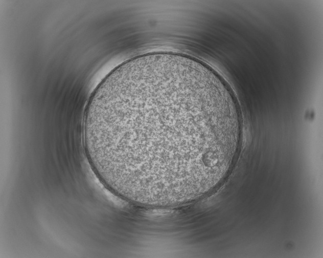 X0000110721290200907101355