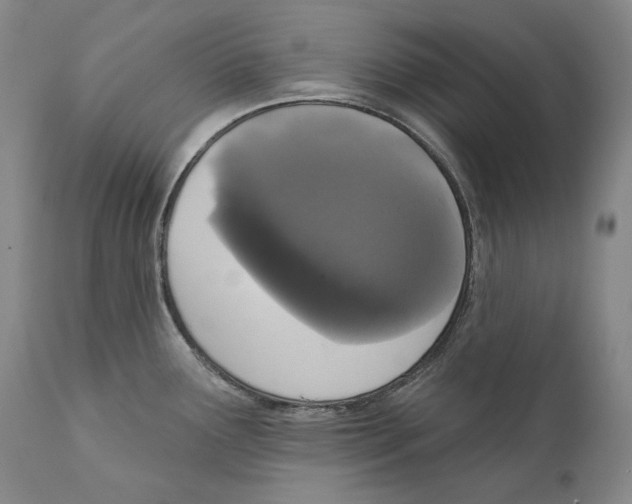 X0000110721291200907101355