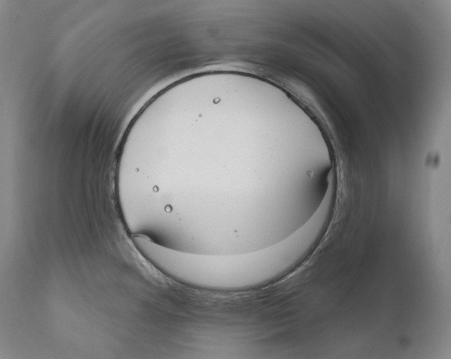 X0000110721292200907101355