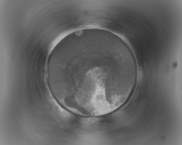 X0000110721294200907101355