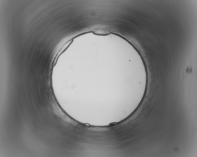 X0000110721296200907101355