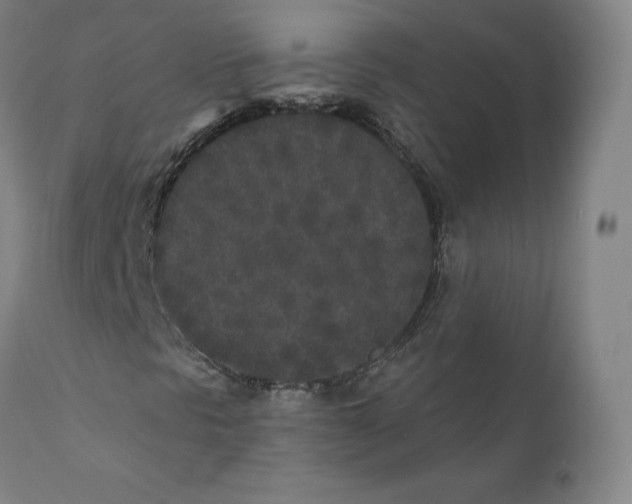 X0000110721297200907101354