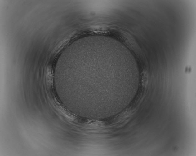 X0000110721298200907101354