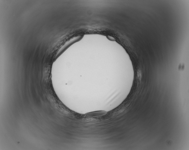 X0000110721300200907101354