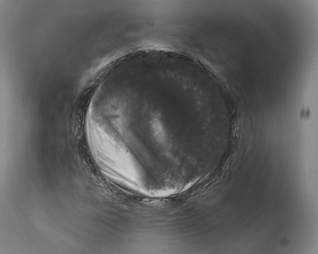 X0000110721303200907101354