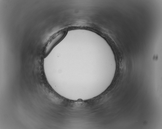 X0000110721304200907101354