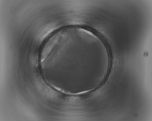 X0000110721306200907101354