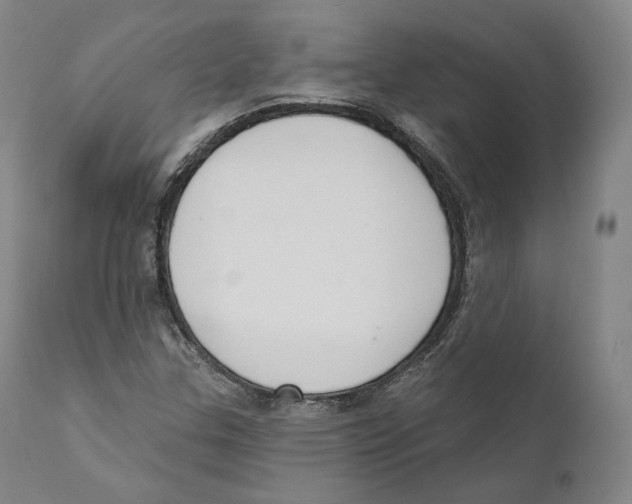 X0000110721307200907101354