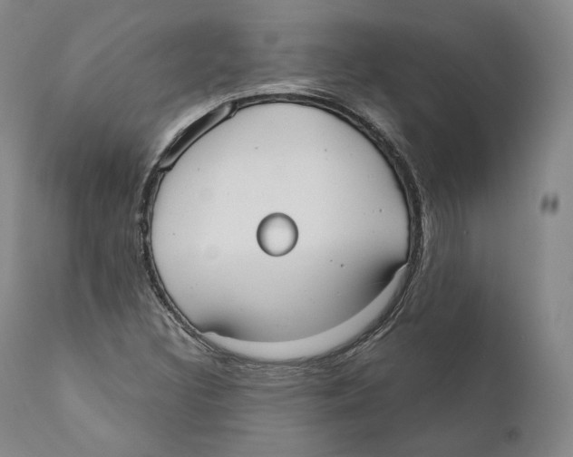 X0000110721308200907101354