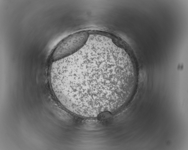 X0000110721310200907101354