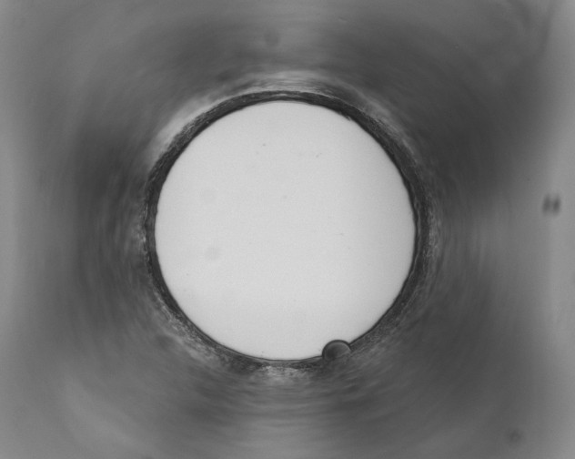 X0000110721312200907101354