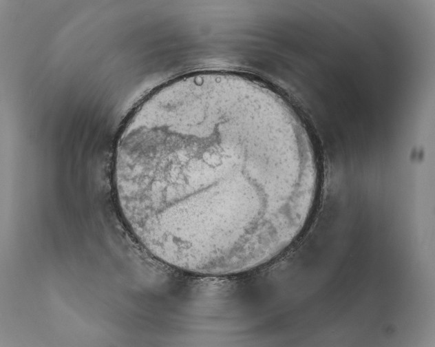 X0000110721314200907101354