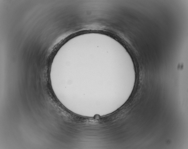 X0000110721315200907101354