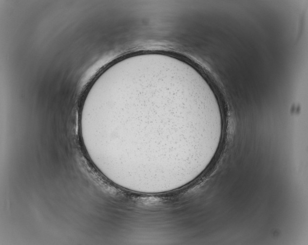 X0000110721317200907101354