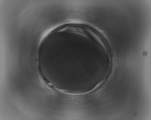 X0000110721319200907101354