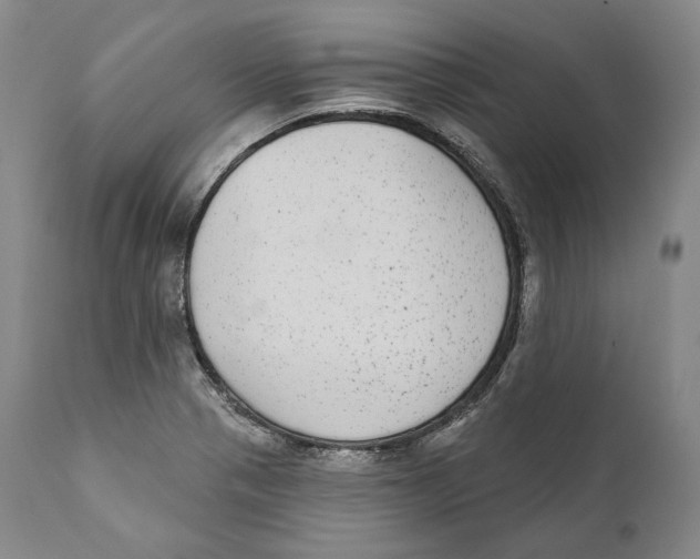 X0000110721321200907101355