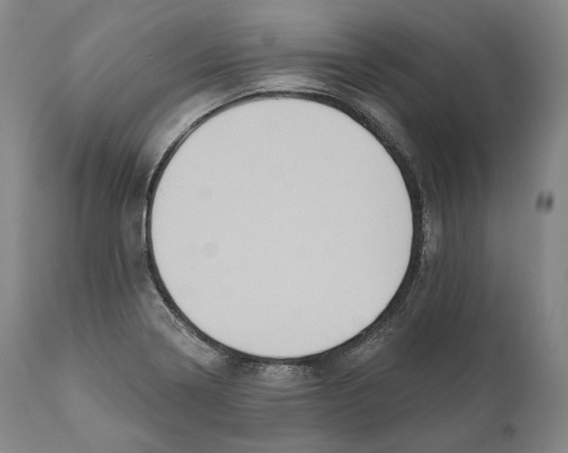 X0000110721322200907101355