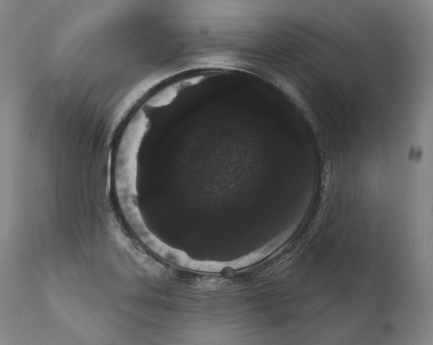 X0000110721323200907101355