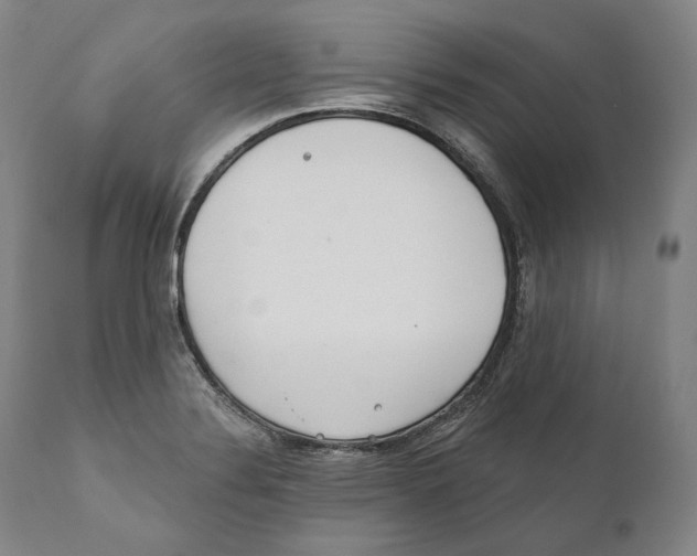 X0000110721324200907101355