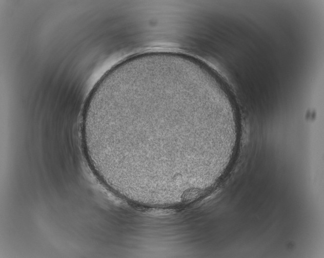 X0000110721325200907101355