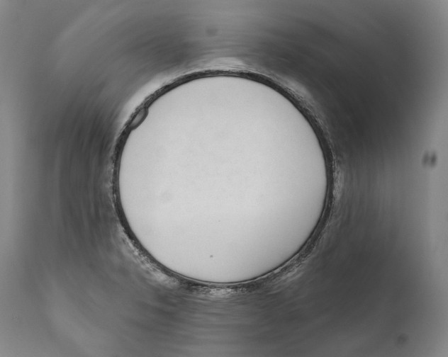 X0000110721326200907101355