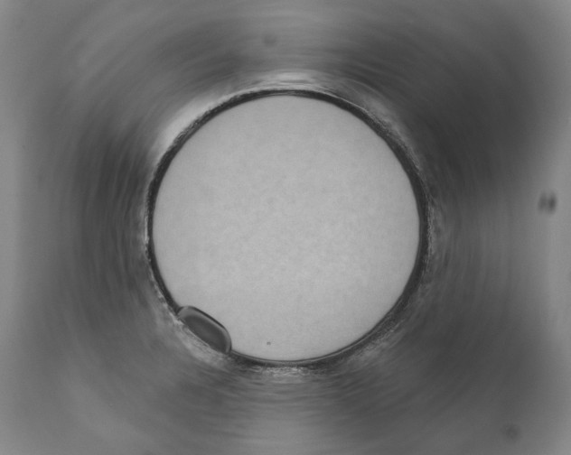 X0000110721328200907101355