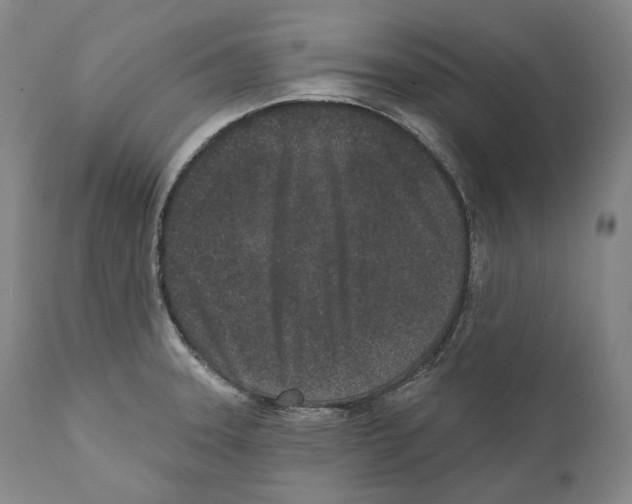 X0000110721331200907101355