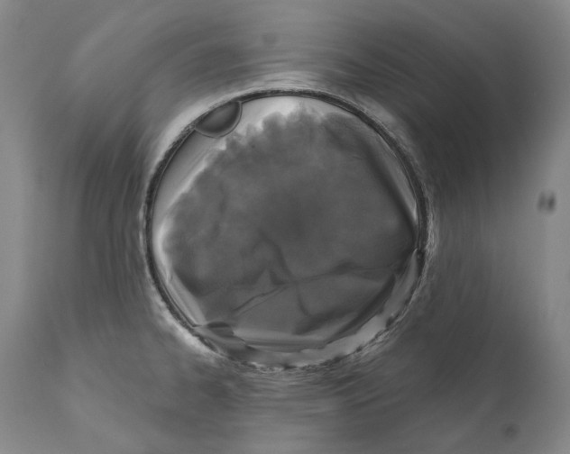 X0000110721334200907101355