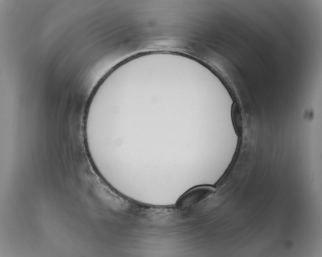 X0000110721336200907101355