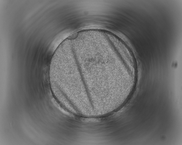 X0000110721337200907101355