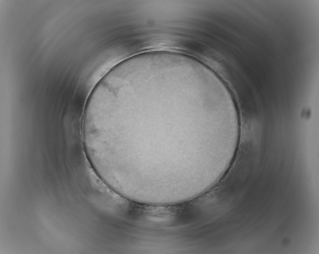 X0000110721338200907101355