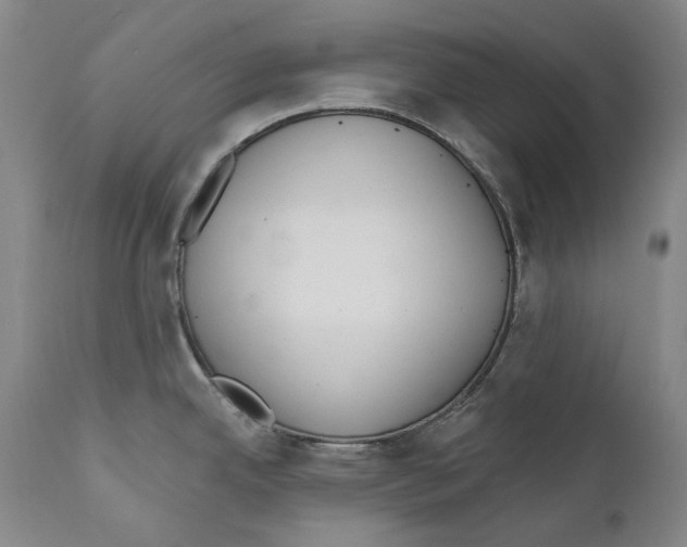 X0000110721342200907101355