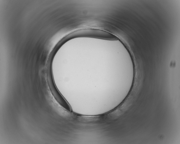 X0000110721344200907101355