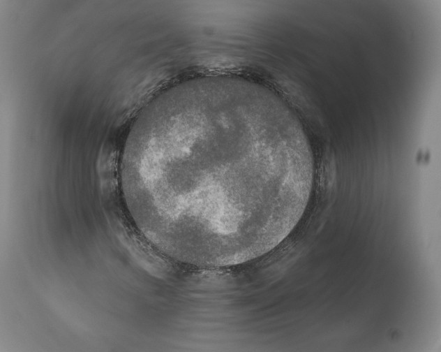 X0000110721346200907101354