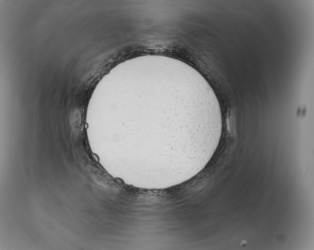 X0000110721347200907101354