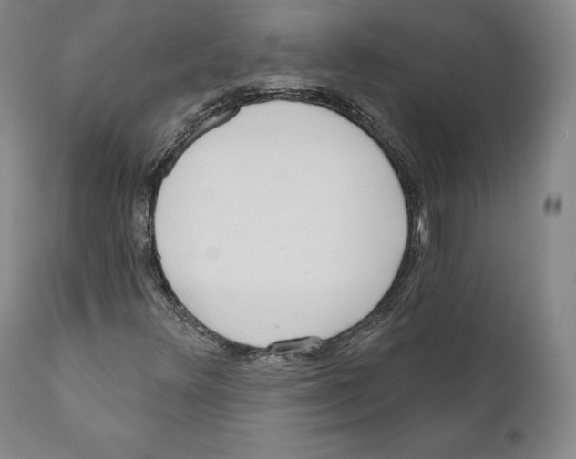 X0000110721348200907101354