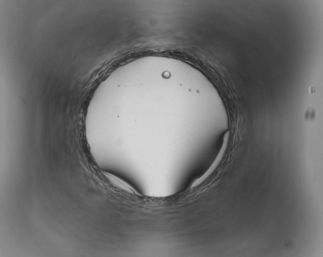 X0000110721349200907101354