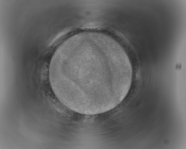 X0000110721350200907101354