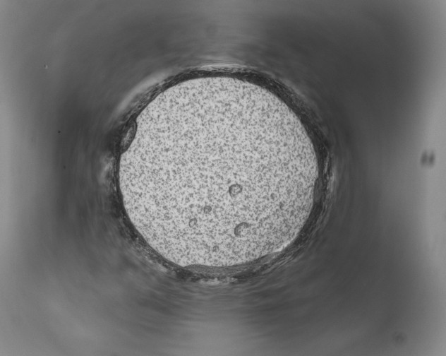 X0000110721351200907101354