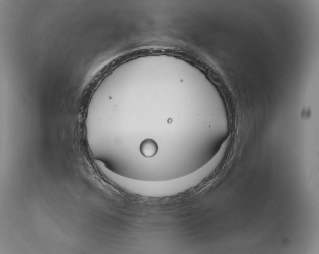 X0000110721352200907101354