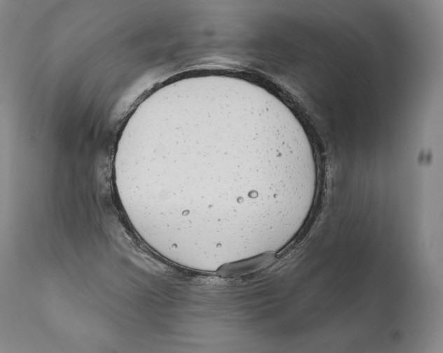 X0000110721355200907101354