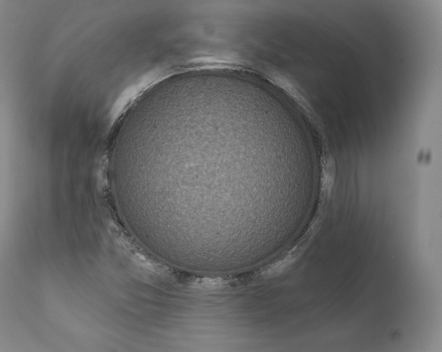 X0000110721357200907101354