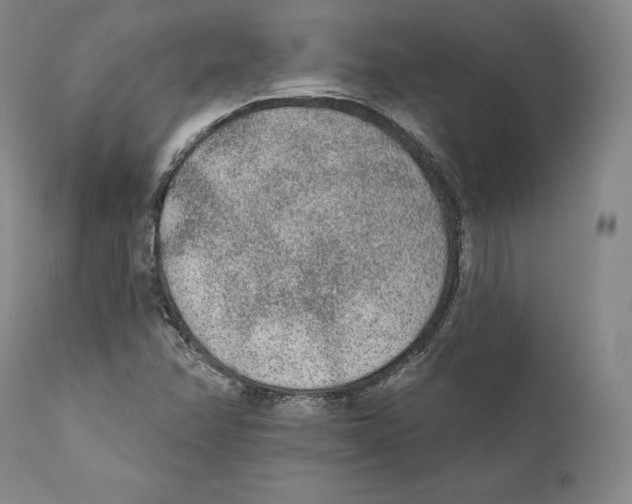 X0000110721358200907101354