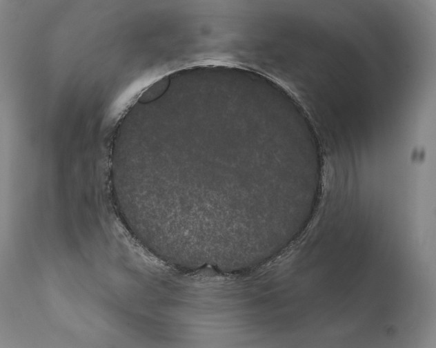 X0000110721359200907101354