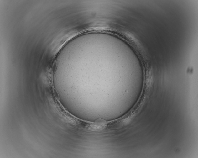 X0000110721361200907101354