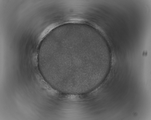 X0000110721362200907101354