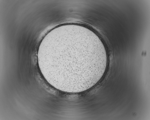 X0000110721363200907101354