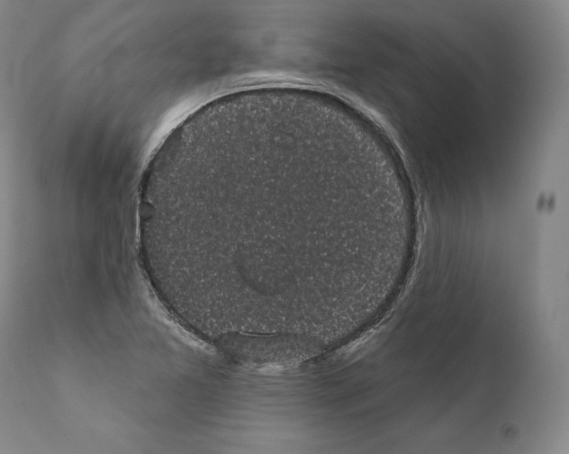 X0000110721365200907101354