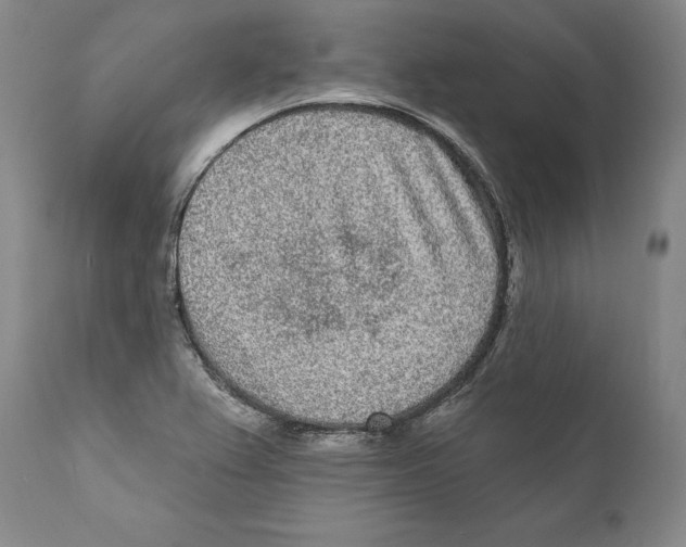 X0000110721367200907101354